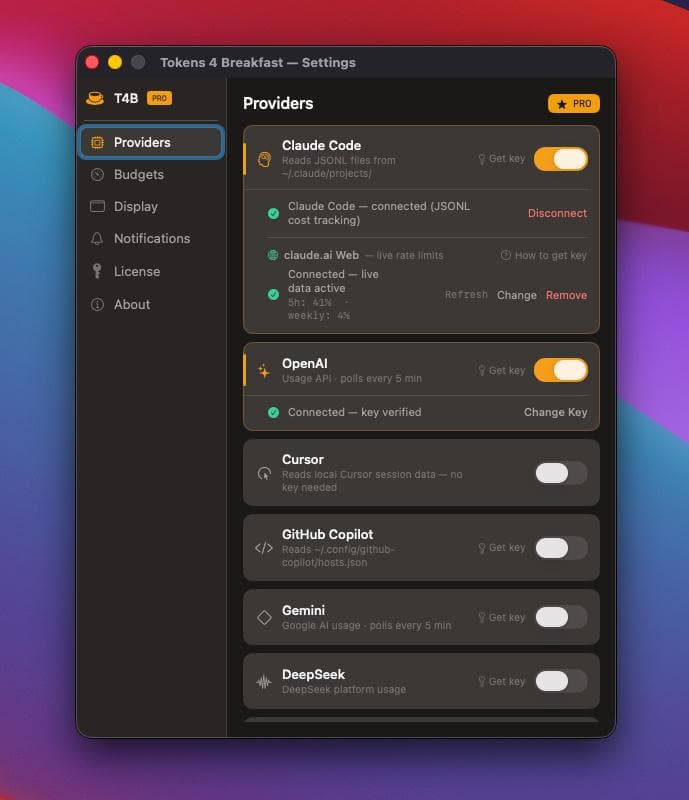 Tokens 4 Breakfast settings window showing provider setup across supported AI tools.